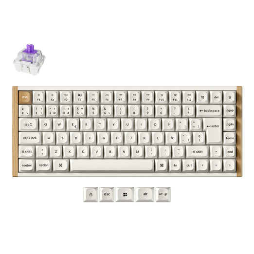 Keychron K2 HE Wireless Magnetic Switch Custom Keyboard ISO Layout Collection