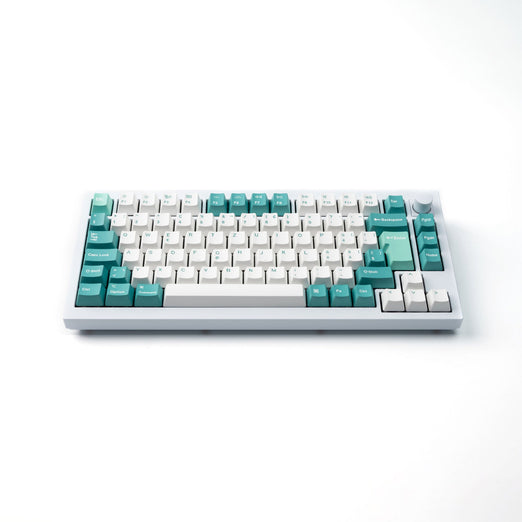 ISO OEM Dye-Sub PBT Komplettset Tastenkappen-Set – Weiß Mint
